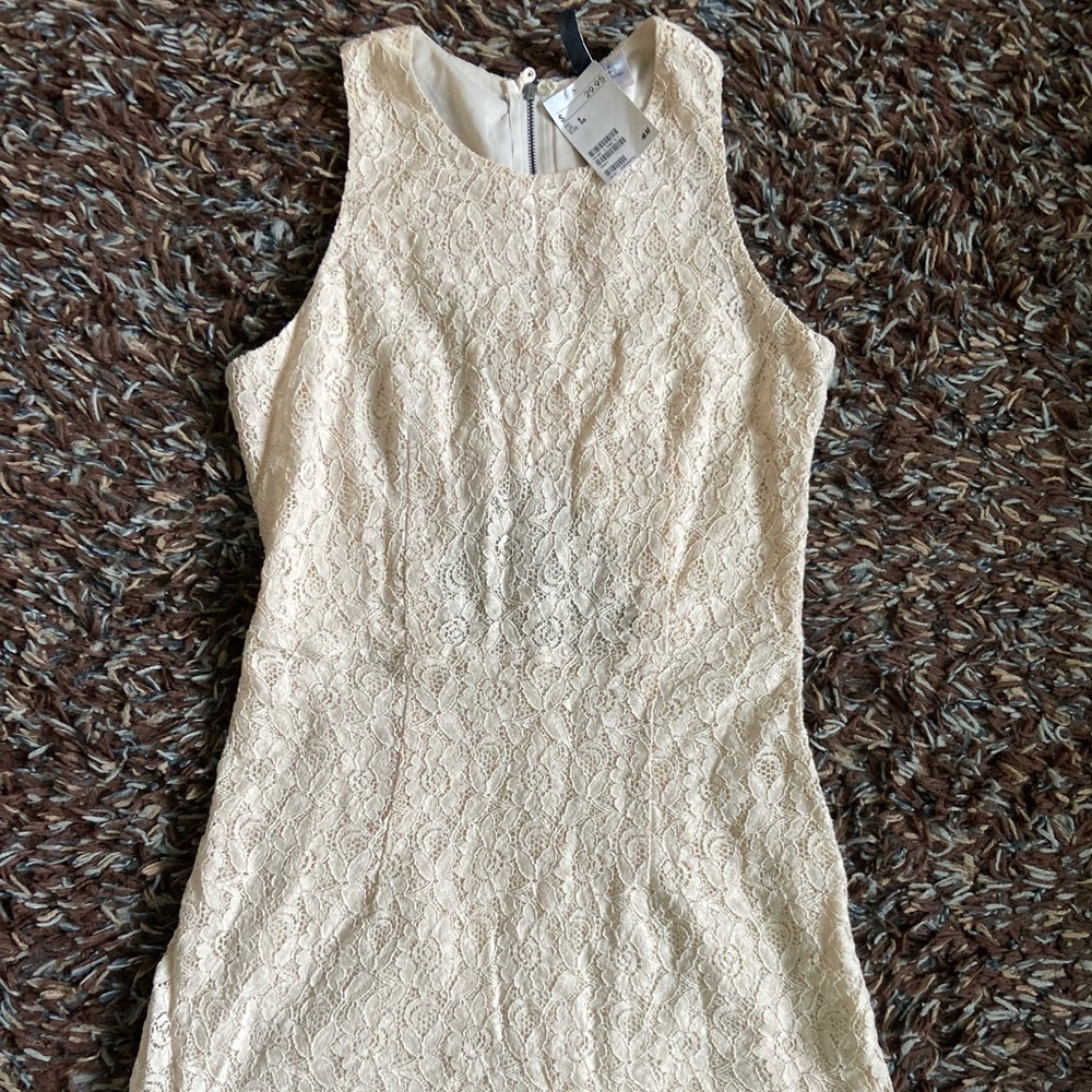 Lace mini cut out dress